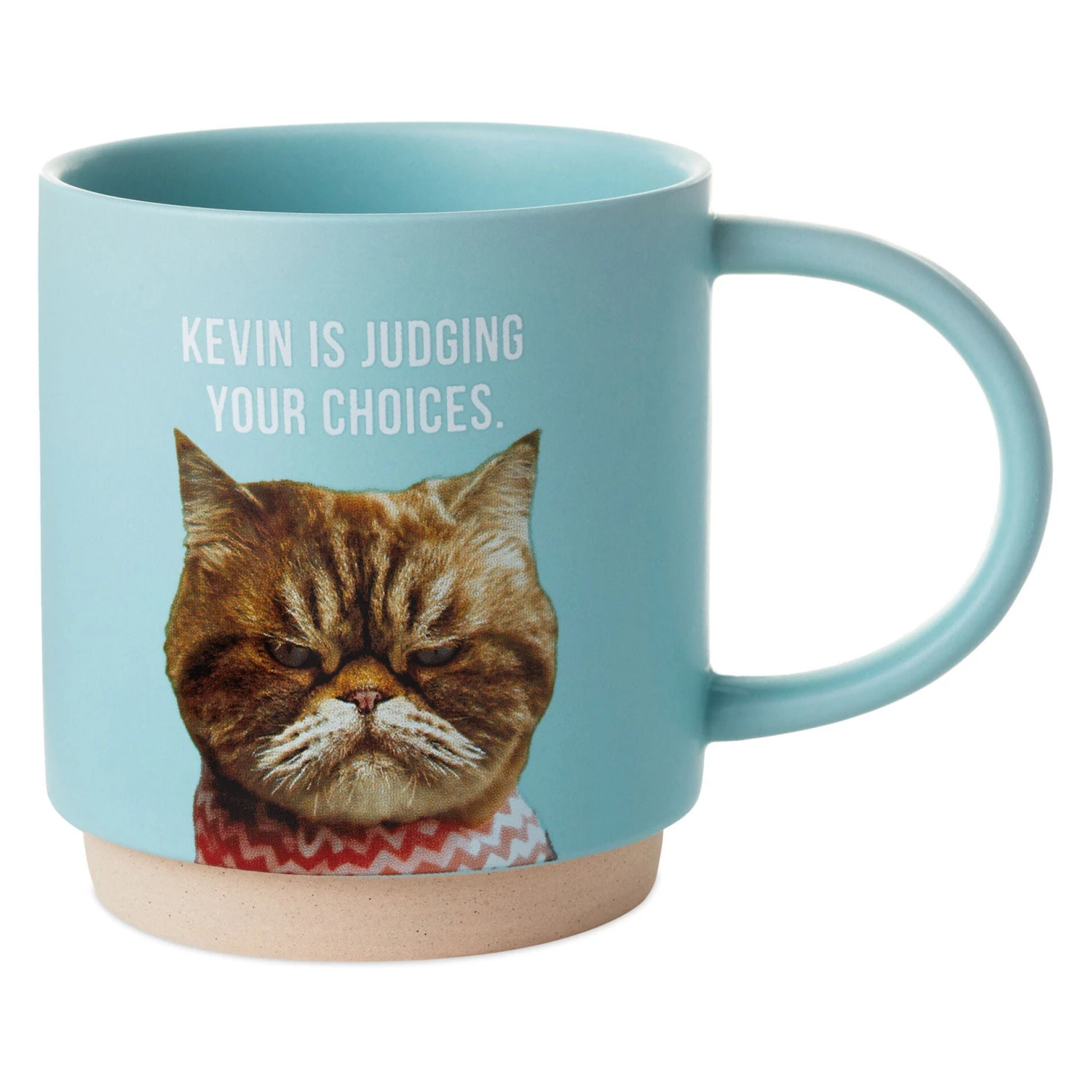 Hallmark Judgmental Cat Funny Mug, 16 Oz 3 Hallmark Judgmental Cat Funny Mug, 16 Oz