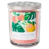 Hallmark Tropical Escape Mandarin Orange Grapefruit Scented 3-Wick Jar Soy Candle, 16 Oz. -Hallmark BGC1051 01