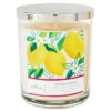 Hallmark Lemon Grove 3-Wick Jar Candle 16 Oz. -Hallmark BGC1055 01