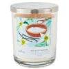 Hallmark Sea Salt Vanilla 3-Wick Jar Candle, 16 Oz. -Hallmark BGC1064 01