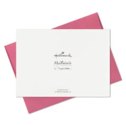 Hallmark Marjolein Bastin Assorted Blank Nature Note Cards In Caddy, Pack Of 24 -Hallmark Bastin Assorted Nature Note Cards Caddy Bulk Pack 1SOM3881 09