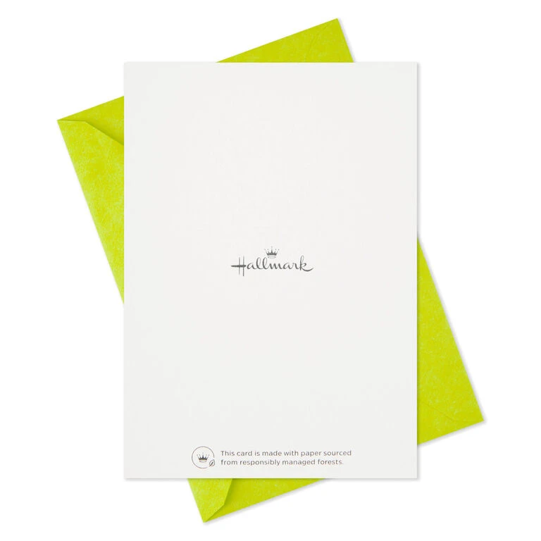 Hallmark Cute Dogs Assortment Blank Thank-You Notes, Pack Of 48 9 Hallmark Cute Dogs Assortment Blank Thank-You Notes, Pack Of 48 - Image 7