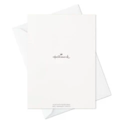 Hallmark Pattern Play Assorted Blank Note Cards, Pack Of 48 -Hallmark Pattern Play Assorted Blank Note Cards 5STZ5118 05