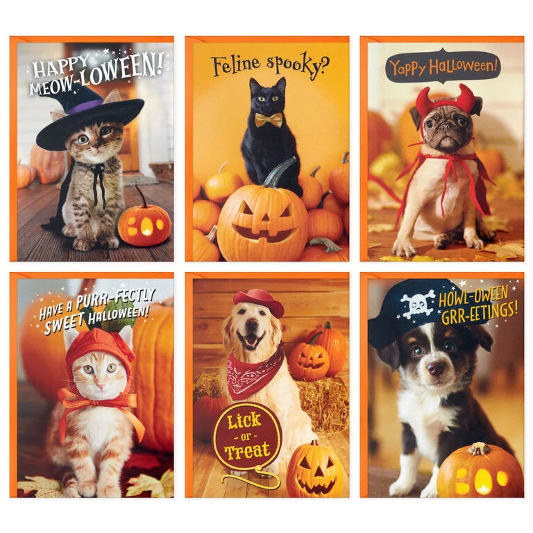Hallmark Pet Puns Boxed Halloween Cards Assortment, Pack Of 48 4 Hallmark Pet Puns Boxed Halloween Cards Assortment, Pack Of 48 - Image 2