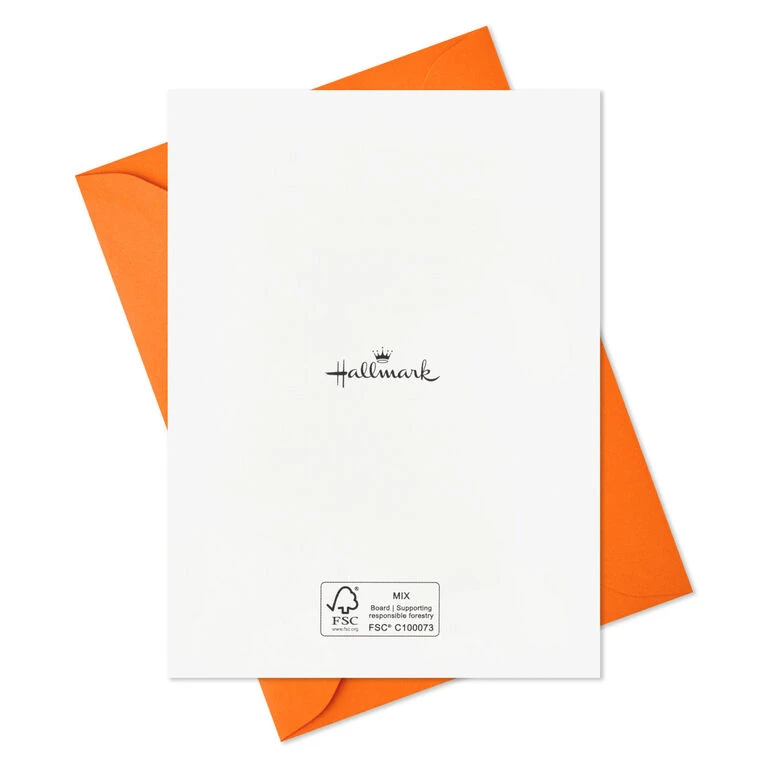 Hallmark Pet Puns Boxed Halloween Cards Assortment, Pack Of 48 7 Hallmark Pet Puns Boxed Halloween Cards Assortment, Pack Of 48 - Image 5