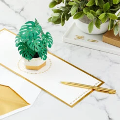 Hallmark Plant In Pot 3D Pop-Up Thinking Of You Card -Hallmark Plant in Pot 3D PopUp Thinking of You Card 1299LAD2900 07