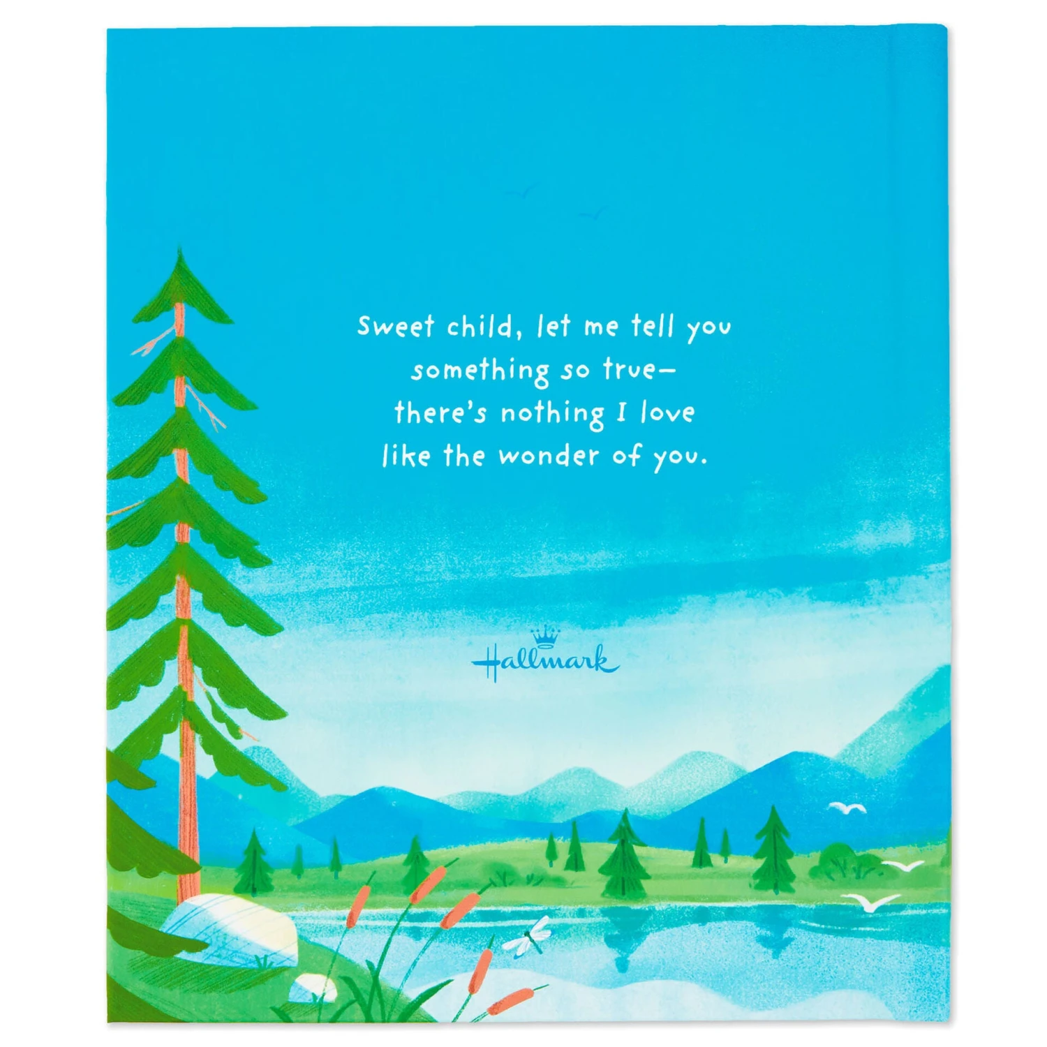 Hallmark The Wonder Of You Recordable Storybook 4 Hallmark The Wonder Of You Recordable Storybook - Image 2